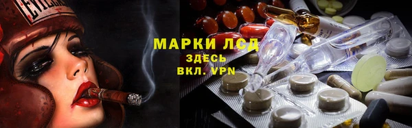 apvp Алексин