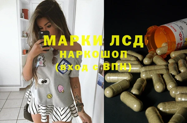 apvp Алексин
