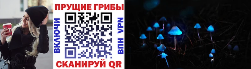Галлюциногенные грибы мицелий  сколько стоит  Шимановск 